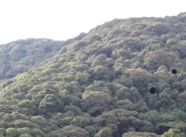 Kotedža Bugara Homestay pilsētā Kisoro