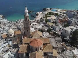 Casa Ricasoli by MANZONI COLLECTION