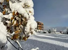 Hotel Lech Da Sompunt
