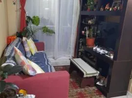 Comparto Depto. en La Cisterna ( hermoso y cómodo, cómo en casa)