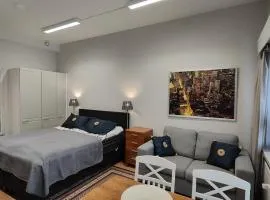 City Apartment Kuopio
