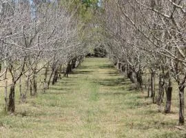 Los Almendros