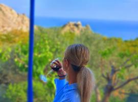 Aegean Serenity - Sea View Retreat, villa a Archangelos