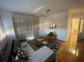 Ilić dvosoban apartman