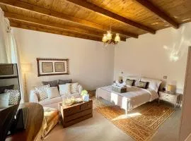 Casa Delicosta- 2 Flat Country house with garden, 15 min from Trikala