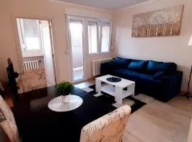 Apartman Studenjak