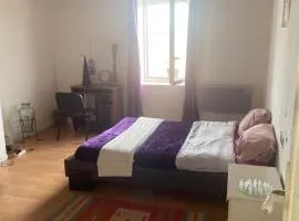 chambre violette coté aéroport calme charmante