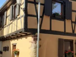 Idéal séjour Alsace ! proche Colmar, gîte Muse avec son jardin