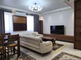 APARTMENT SILVER HOUSE