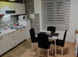 Kuršumlijska banja apartman