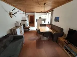 Apartment with mountain view near centre