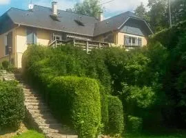 4 Bedroom Stunning Home In Louvie-Juzon