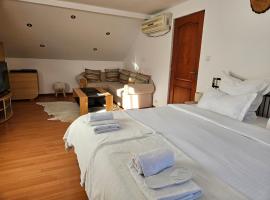 Casa Ana, hotel with parking in Crasna