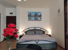 Mini Apartament Studio