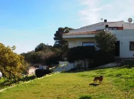 Asinara