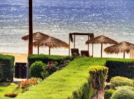 Luxury Beachfront Villa With Private Pool, Private Beach, Yoga & Sea Adventures