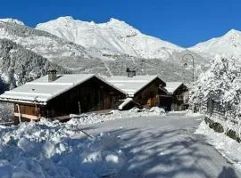 Chalet licorne 12 personnes à 3 min des pistes st martin de Belleville 3 vallées