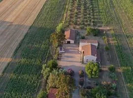 agriturismo bono - Golfo di Follonica