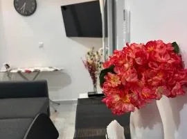 Artemis Beach Holiday Nest 1