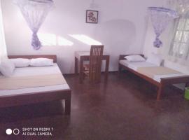 Leisure Home Human Care Center, δωμάτιο σε οικογενειακή κατοικία σε Gonawala