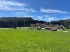 Idyllisches Ferienapartment Allgäu (Ehwiesmühle)
