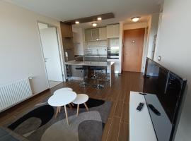 Departamento Rio Cruces Valdivia, hotel en Valdivia