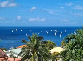 Ti Sucrier Jaune - Douceur caraïbe vue mer