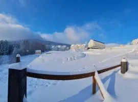 Apartamenty Biała Sowa Czarna Góra