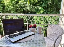 B&P apartman Vrnjačka Banja