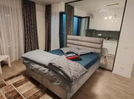 Corporate One Room Pipera Luxury