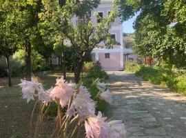 House in Propan