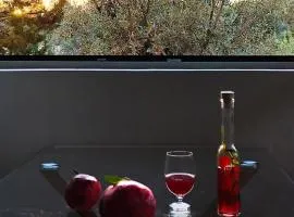 Casa Horizon