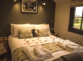 Springwood Shepherd Huts Glamping York