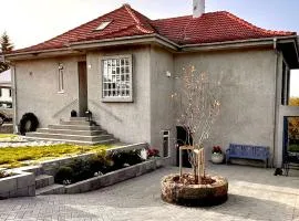 Casa Dísa - Apartments A Boutique Guesthouse in Reykjavik City`s Central Park and Botanical Garden in Laugardalur, Hot-Spring-Valley