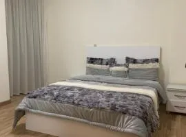 The address compound zayed city