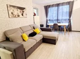 Appartement cosy - Alfortville