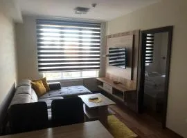 Vista Kopaonik