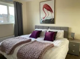 Stunning 3 bedrooms house with Garden and Free Parking