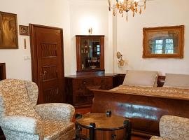 Boutique hotel & Wellness Spitzerova vila Eliška, ξενοδοχείο σε Janovice