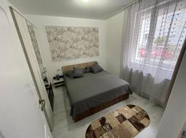 R.M Apartament, cheap hotel in Lugoj