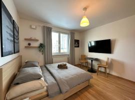 Cozy studio apartment in the wider center, apartament a Nivy