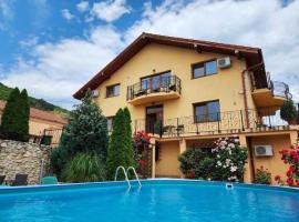 Pensiunea Dunavis, kh&aacute;ch sạn c&oacute; hồ bơi ở Orşova