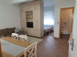 Apartman EMANA, cheap hotel in Veternik