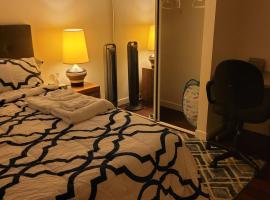 Two luxury bedrooms in the basement, accommodation in Winnipeg