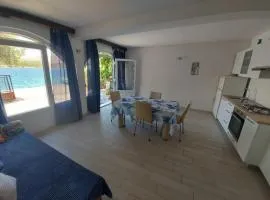 Apartment Marin