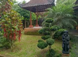 Shanti Homestay Pacung