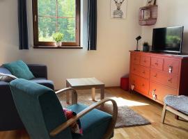 Apartman Jelen, bezbariérové ubytování v Deštném v Orlických horách