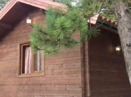 the grandpa's chalet, cabin in Shalë