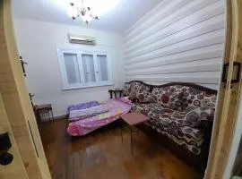 قصرالنيل