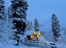 Solomons Gray, vila v destinaci Tangmarg